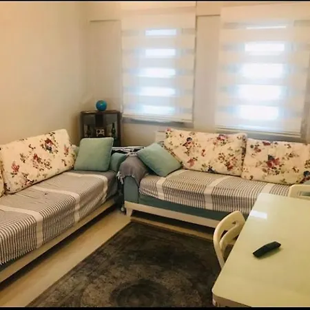 Проживание в семье Istanbul Shine Center