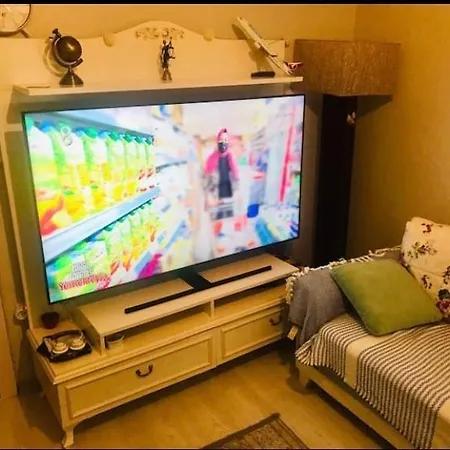 Istanbul Shine Center Проживание в семье Gokturk Merkez